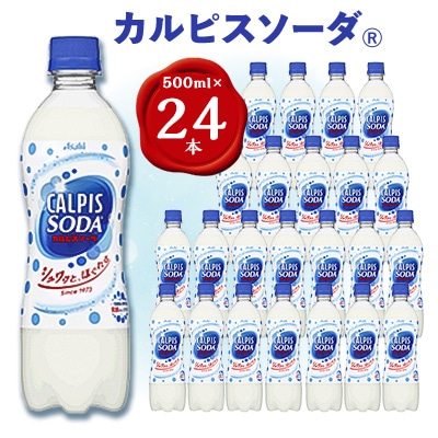 【2ヵ月毎定期便】『カルピスソーダ』PET500ml　24本　隔月全6回