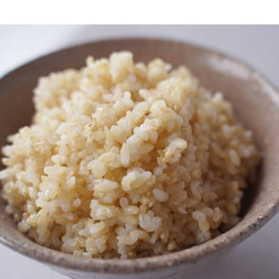 有機こしひかり【玄米】500g×6袋(令和7年産)