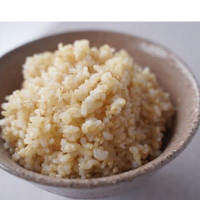 有機こしひかり【玄米】500g×12袋(令和7年産)