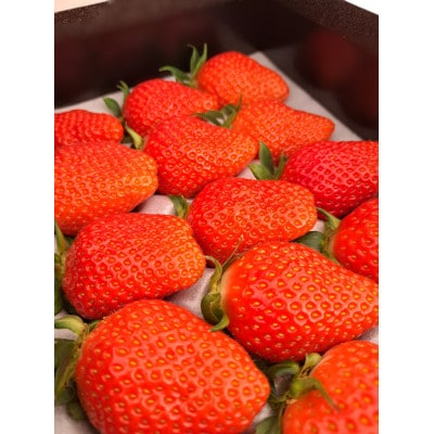 群馬県産 やよいひめ 厳選15粒 黒化粧箱入り プレミアムギフト【配送不可地域：離島・北海道・沖縄県・中国・四国・九州】