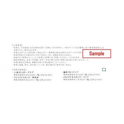 市内ゴルフプレー割引券 1枚