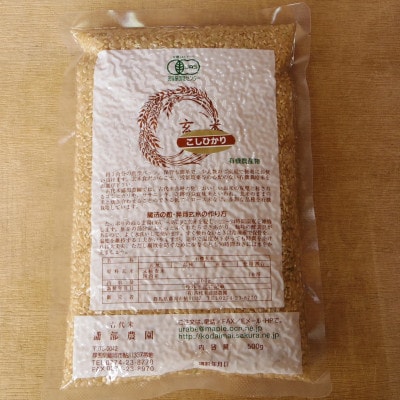 有機こしひかり【玄米】500g×12袋(令和7年産)