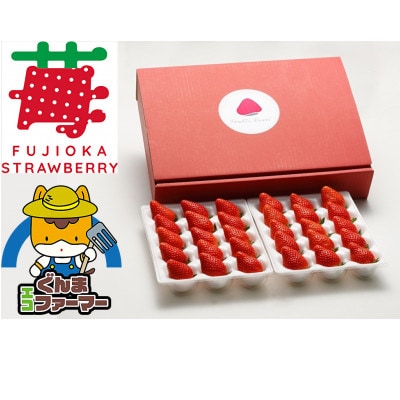 いちご農園フルッティロッシの完熟やよいひめ　約400g × 2パック【配送不可地域：離島】