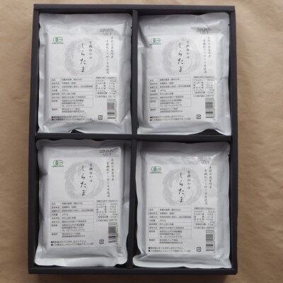 有機白米おかゆ12個