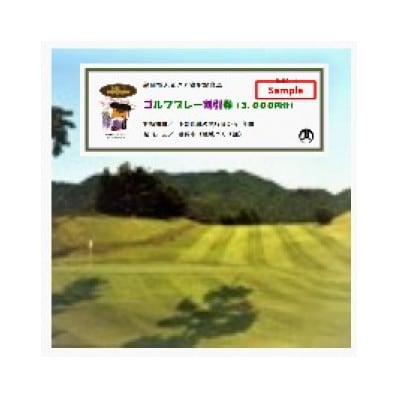 市内ゴルフプレー割引券 1枚