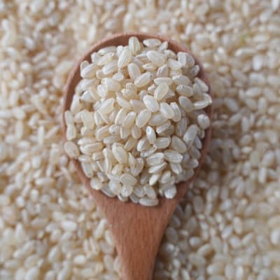 有機こしひかり【玄米】500g×6袋(令和7年産)