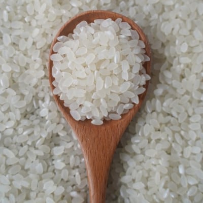 有機こしひかり白米450g×12袋(令和7年産)