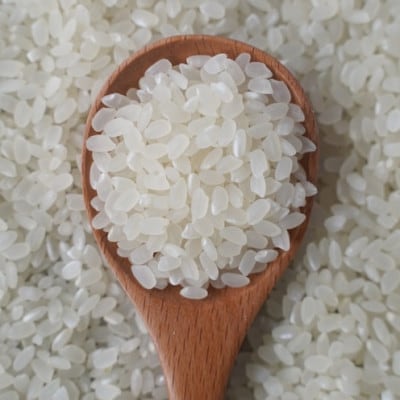 有機こしひかり白米450g×20袋(令和7年産)