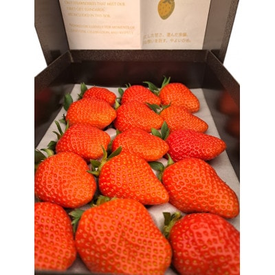 群馬県産 やよいひめ 厳選15粒 黒化粧箱入り プレミアムギフト【配送不可地域：離島・北海道・沖縄県・中国・四国・九州】