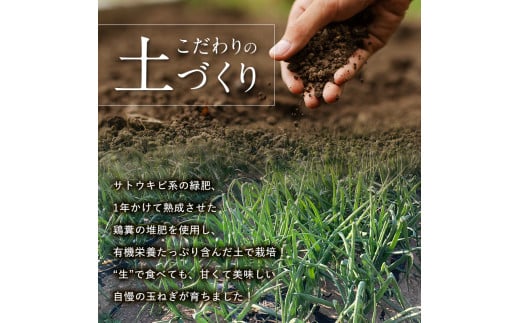 ＜2026年発送 先行予約＞甘すぎる新鮮玉ねぎ 10kg（2026年5月12日～6月10日頃出荷） 減農薬減 化学肥料 生食 たまねぎ 玉ねぎ タマネギ 野菜 食品 F20E-681