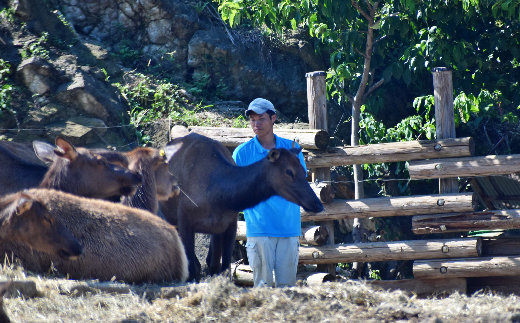 【群馬サファリパーク】プライベートツアー(3名様) F20E-695