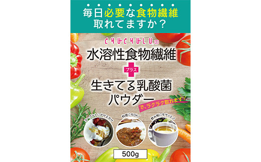 水溶性食物繊維＋生きてる乳酸菌パウダー (500g×2) 食物繊維 乳酸菌パウダー 粉 ヨーグルト 飲み物 F20E-816