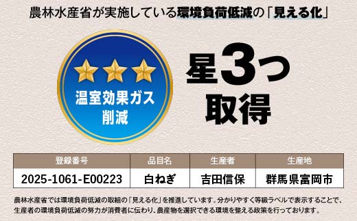 田舎のねぎ（15本） 糖度30 長ネギ 長ねぎ 長葱 ねぎ ネギ 有機肥料 野菜 食品 F21E-023
