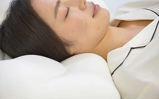 空間 fit の夢まくら classic F21E-269