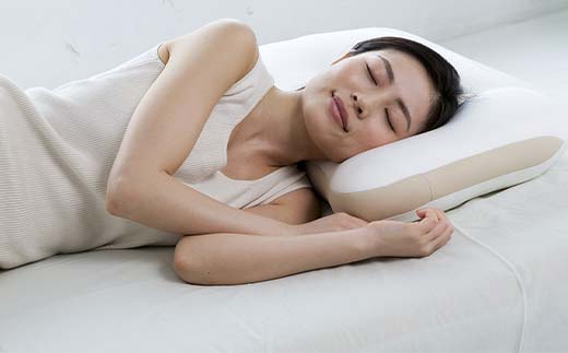 カラダにフィットする枕エクセレント F21E-272