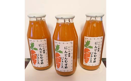 妙義山の麓 にんじんむすめジュース（ストレート） 3本セット F21E-298