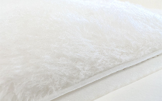 純国産富岡シルク毛布（2026年1月中旬より順次発送） F20E-029