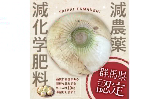 ＜2026年発送 先行予約＞甘すぎる新鮮玉ねぎ 10kg（2026年5月12日～6月10日頃出荷） 減農薬減 化学肥料 生食 たまねぎ 玉ねぎ タマネギ 野菜 食品 F20E-681