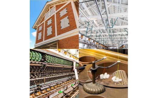 ＼世界遺産!!／ 富岡製糸場 応援寄附金 100,000円分（返礼品なし） F20E-949