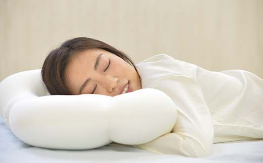 空間 fit の夢まくら classic F21E-269