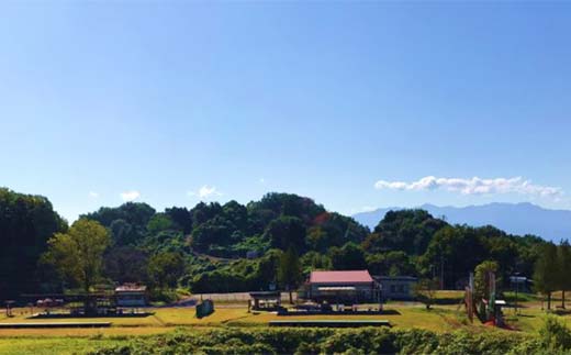 クレー射撃ラウンド券(2ラウンド クレー50枚)×1枚 F21E-418