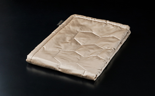 「毎日シルクに包まれて眠りたい」【中わた 富岡産シルク100％】 シルクひざ掛け シャンパンゴールド シルク 絹 贈り物 ギフト 国産 F21E-447