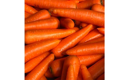 妙義山の麓 にんじんむすめジュース（ストレート) 720ml ×2本セット F21E-517