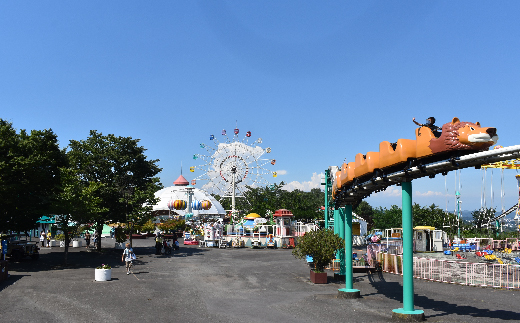 【群馬サファリパーク】プライベートツアー(3名様) F20E-695