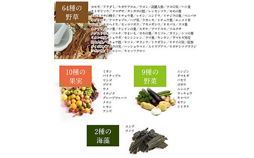  女王様の酵素液 (50袋セット) 酵素液 小分け ザクロ はちみつ ヨーグルト 炭酸水 牛乳 豆乳 飲料 F20E-796