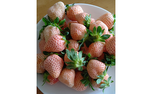 ＜訳あり品＞ 群馬県産白イチゴ「淡雪」(各220g以上×4パック)【2026年3月1日〜5月15日発送】 小粒 訳あり 白いちご 淡雪 群馬県産 苺 イチゴ 淡雪 詰合せ 果物 フルーツ 食品 F21E-253