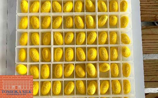 国産富岡シルク 富岡シルク ぐんま黄金 ピローケース 贈り物 ギフト 国産 F21E-416