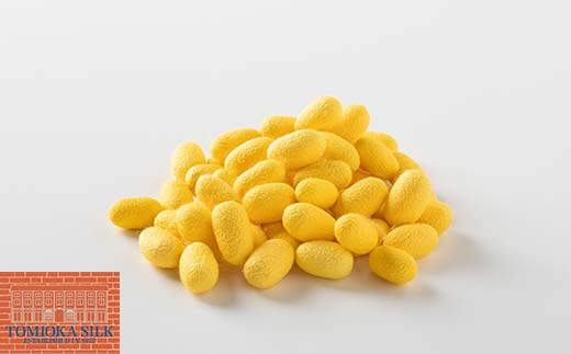 国産富岡シルク 富岡シルク ぐんま黄金 ボックスシーツ 贈り物 ギフト 国産 F21E-417