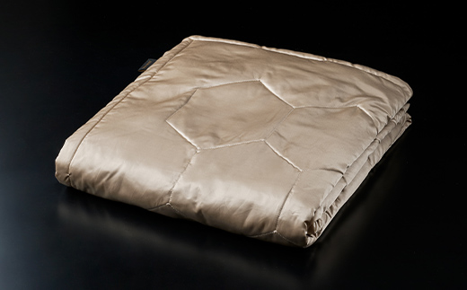 「毎日シルクに包まれて眠りたい」【中わた 富岡産シルク100％】 シルク掛布団（ダブルサイズ） シャンパンゴールド シルク 絹 贈り物 ギフト 国産 F21E-438