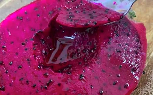 ＜2025年7月下旬より順次発送＞ ドラゴンフルーツ (1kg) くだもの 果物 フルーツ 食品 F20E-514