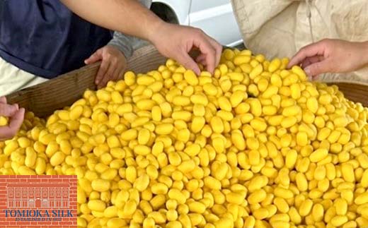 国産富岡シルク 富岡シルク ぐんま黄金 ピローケース 贈り物 ギフト 国産 F21E-416