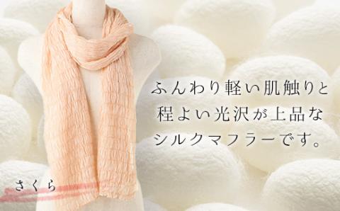 シルクシャーリングマフラー（草木染め）さくら F20E-064