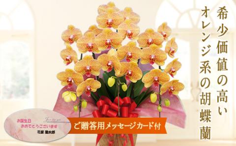 胡蝶蘭　シルクオレンジ　3本立ち 【メッセージカード付】 還暦 お祝い 当選 就任　開業 新築　長生き　母の日　父の日 商売繁盛　記念　お歳暮　お中元 お花 贈り物 プレゼント ギフト こちょうらん F20E-415