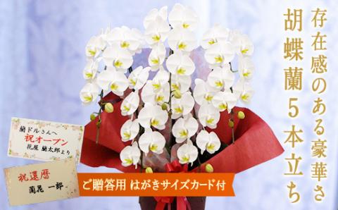 胡蝶蘭　白大輪　5本立ち【はがきサイズカード付】 還暦 お祝い 当選 就任　開業 新築　長生き　母の日　父の日 商売繁盛　記念　お歳暮　お中元 お花 贈り物 プレゼント ギフト こちょうらん F20E-427