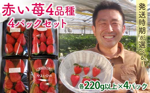 自宅でいちご狩りセット＜赤い苺4品種＞【2026年1月4日〜3月31日発送】 計4パック(各220g以上) 群馬県産 いちご 苺 イチゴ 食べ比べ セット 詰合せ 果物 フルーツ 食品 F21E-250