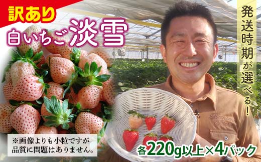 ＜訳あり品＞ 群馬県産白イチゴ「淡雪」(各220g以上×4パック)【2026年3月1日〜5月15日発送】 小粒 訳あり 白いちご 淡雪 群馬県産 苺 イチゴ 淡雪 詰合せ 果物 フルーツ 食品 F21E-253