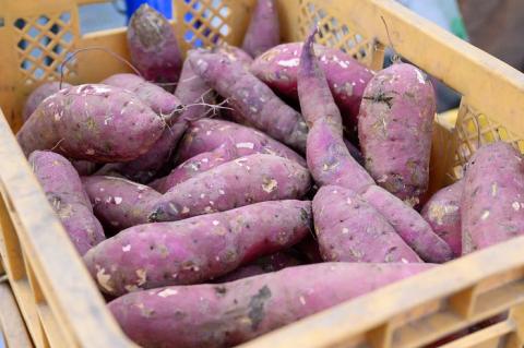 秘蜜芋・干（ひみついも・ほす）【202】