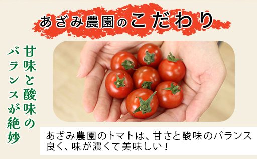 【1】ミニトマト1ｋｇ【10月以降順次発送】