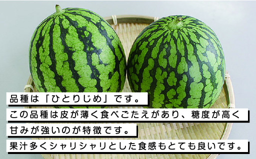 【102】シャリシャリ食感の小玉すいか5玉