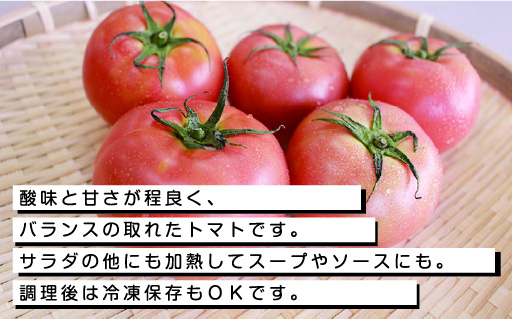 【34】大玉トマト24玉