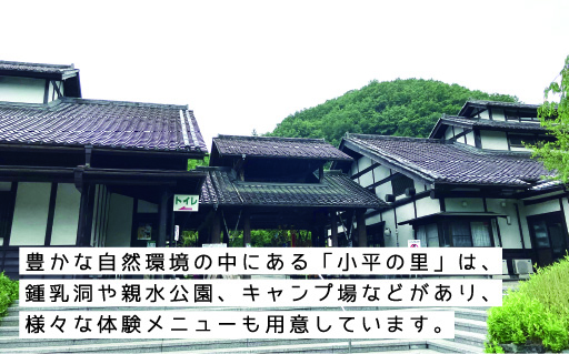 【56】小平の里　流しうどん体験＆鍾乳洞見学　2名様