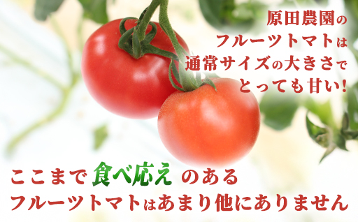 【a009】フルーツトマト糖十郎（Lサイズ）