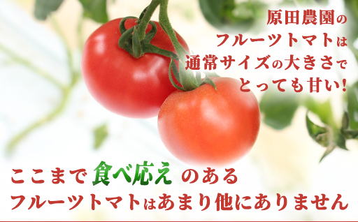 【a010】フルーツトマト糖十郎（Mサイズ）1㎏箱15玉満杯詰め