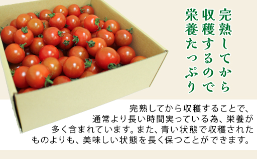 【10】ミニトマトジュース（有塩） ミニトマトジャム