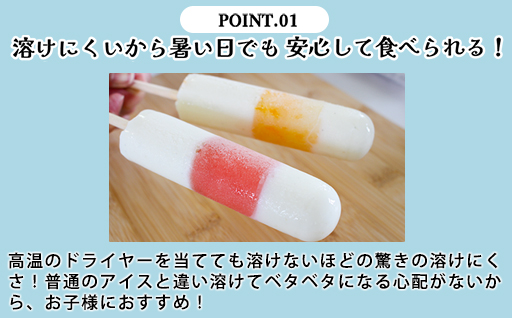 【146】こんにゃくアイス(10本入り)