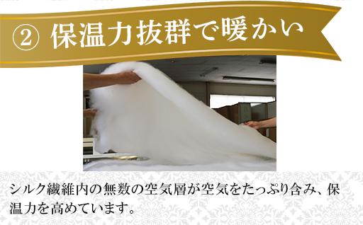 【153】手洗いOK　群馬県産シルクわたの枕パット